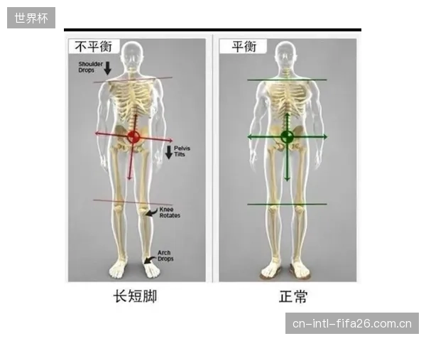 基于用户生物力学数据，反向推导并定制个人专属的树脂胶凝流变性参数，将是未来三年的主流商业模式